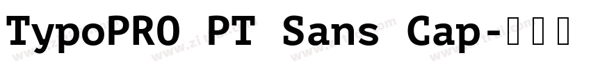 TypoPRO PT Sans Cap字体转换